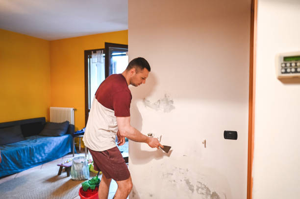 Best Mold Cleaning Services  in Morgantown, MS